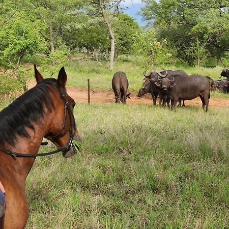 Wild Ride Safaris And Bush Camp Hoedspruit Exterior photo