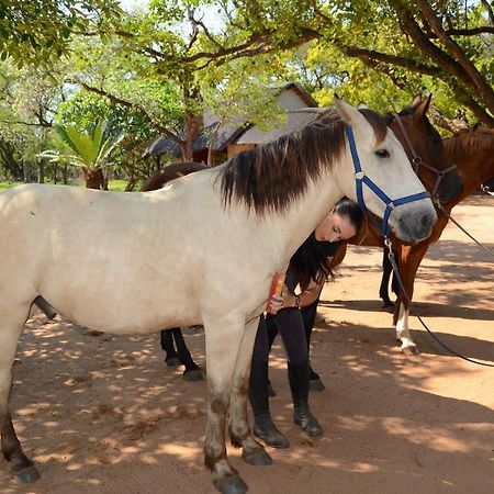 Wild Ride Safaris And Bush Camp Hoedspruit Exterior photo