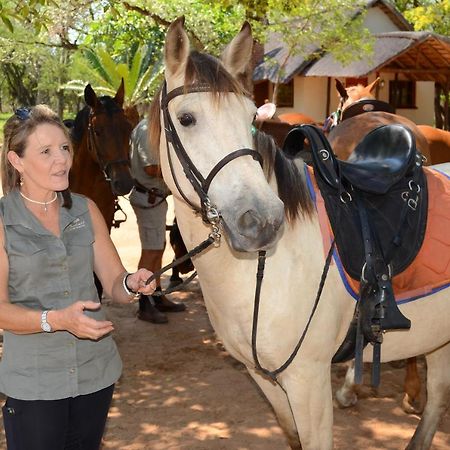 Wild Ride Safaris And Bush Camp Hoedspruit Exterior photo