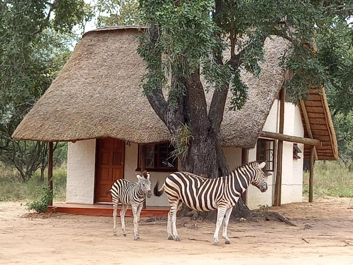 Wild Ride Safaris And Bush Camp Hoedspruit Exterior photo