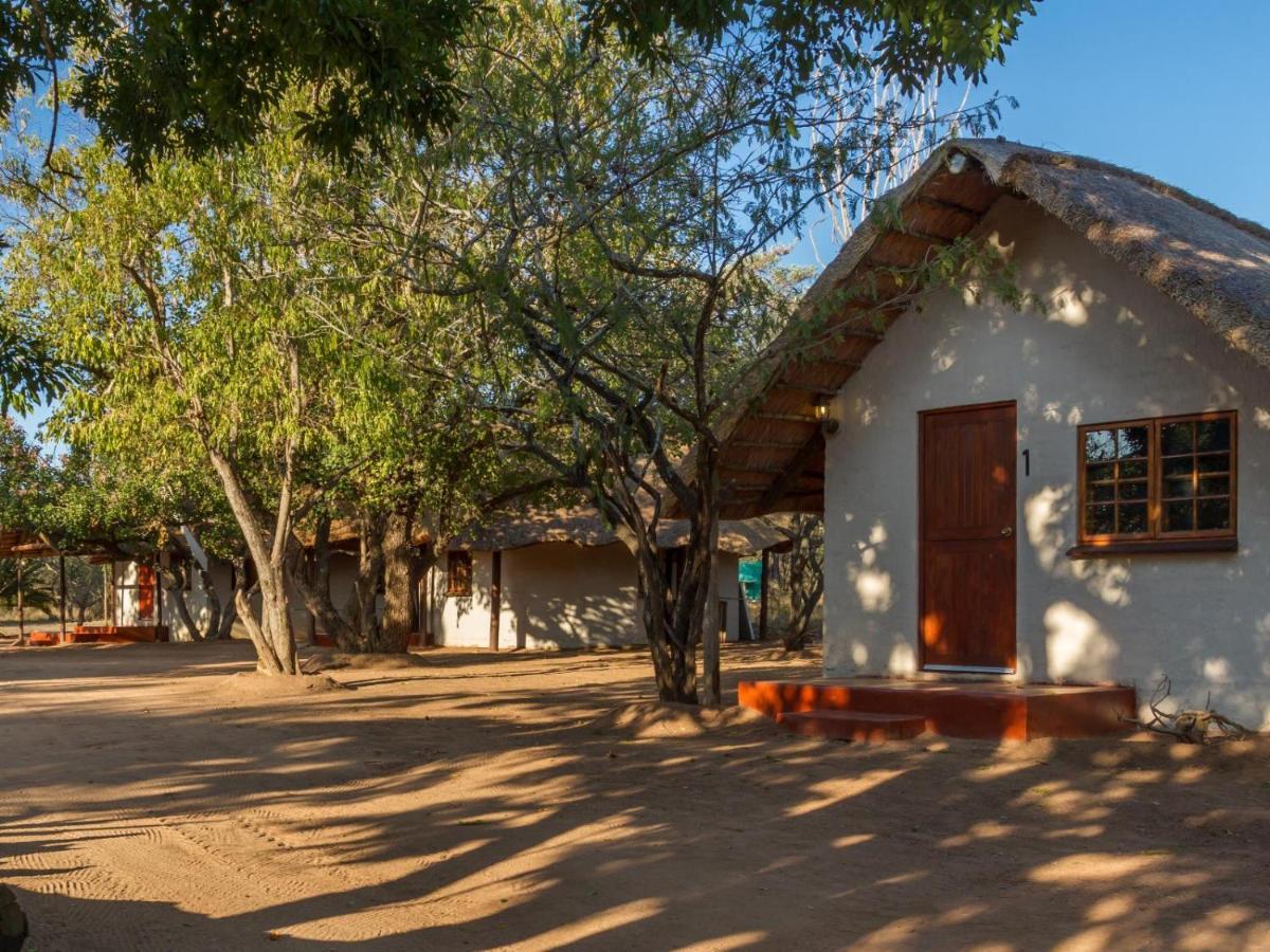 Wild Ride Safaris And Bush Camp Hoedspruit Exterior photo