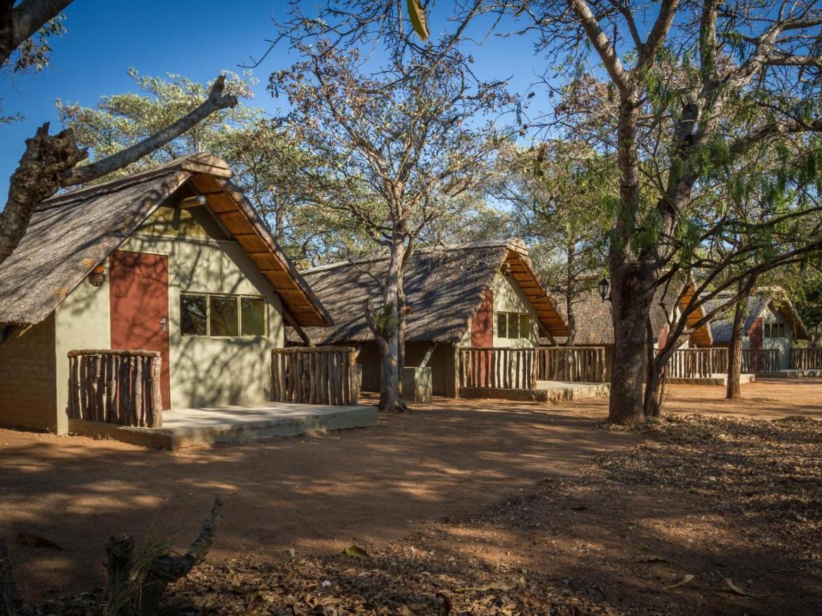 Wild Ride Safaris And Bush Camp Hoedspruit Exterior photo