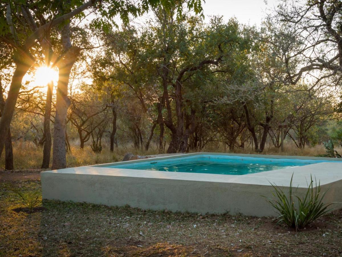 Wild Ride Safaris And Bush Camp Hoedspruit Exterior photo