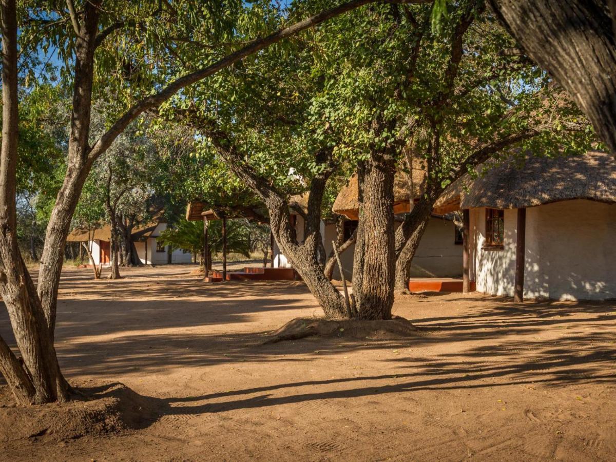 Wild Ride Safaris And Bush Camp Hoedspruit Exterior photo