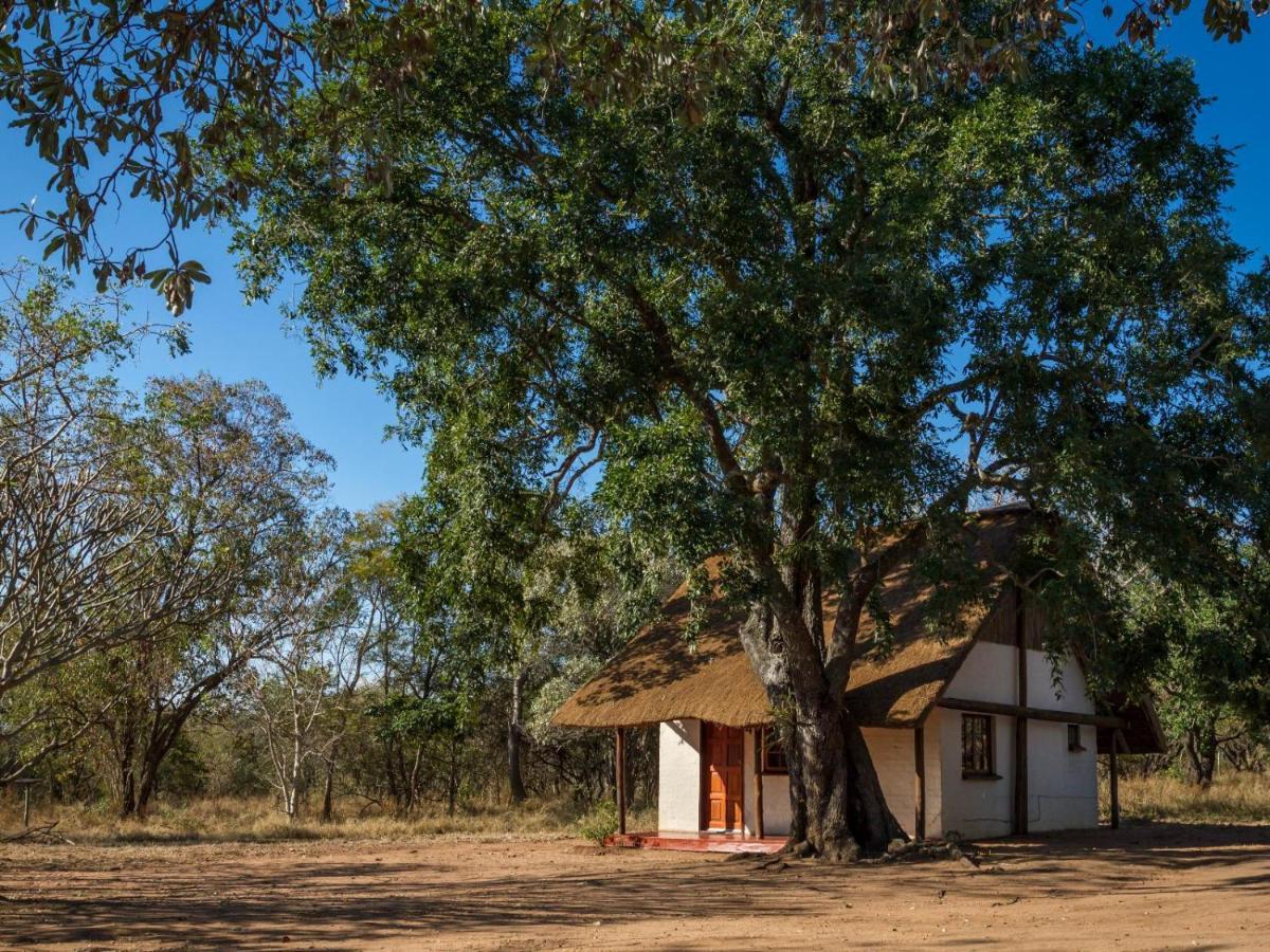 Wild Ride Safaris And Bush Camp Hoedspruit Exterior photo