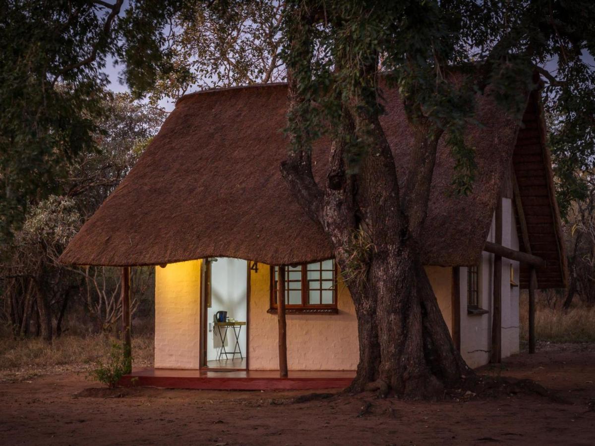 Wild Ride Safaris And Bush Camp Hoedspruit Exterior photo