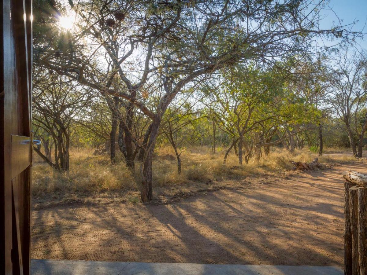 Wild Ride Safaris And Bush Camp Hoedspruit Exterior photo