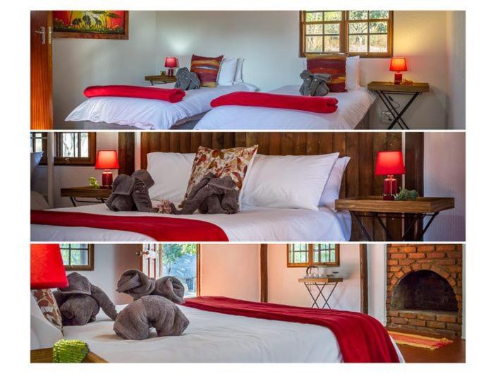 Wild Ride Safaris And Bush Camp Hoedspruit Exterior photo