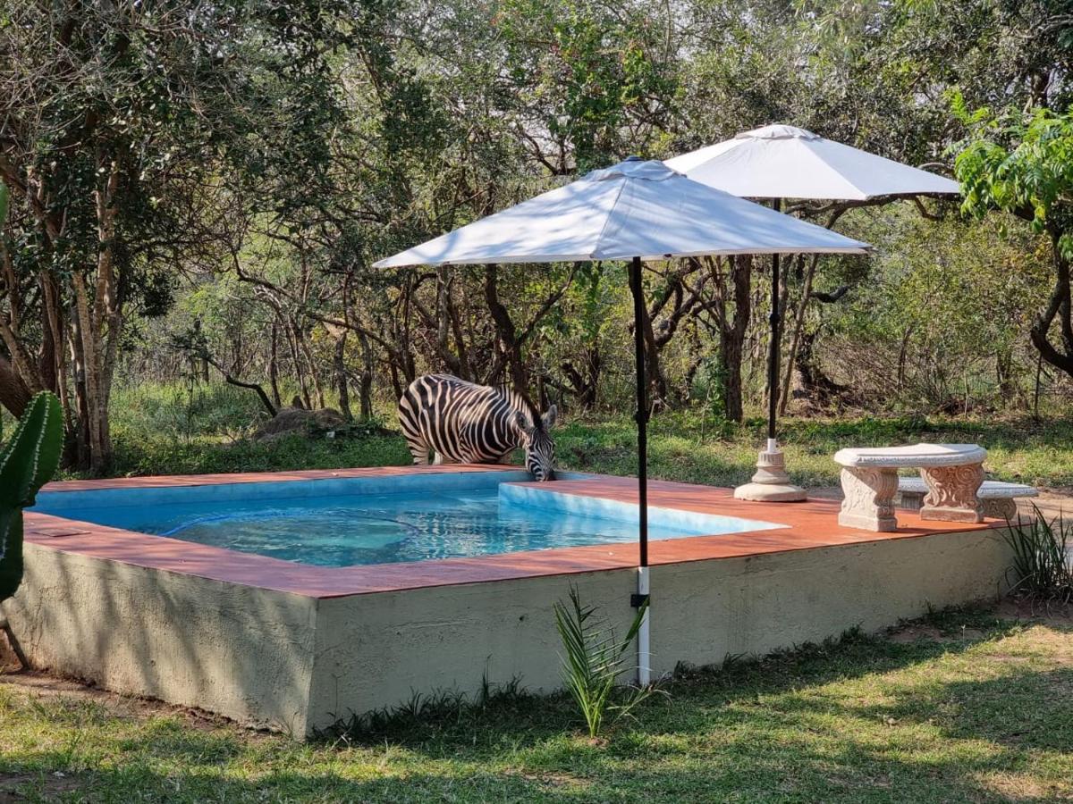 Wild Ride Safaris And Bush Camp Hoedspruit Exterior photo