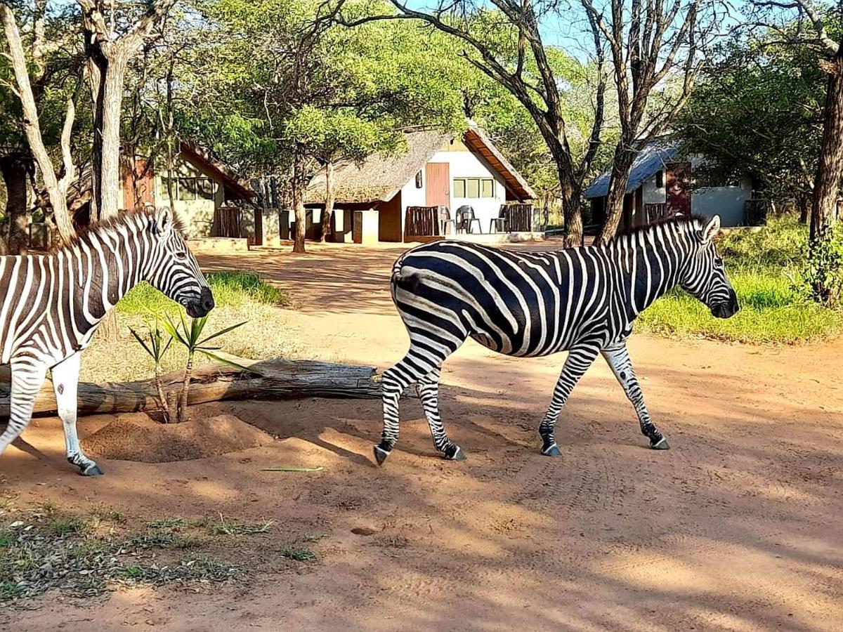 Wild Ride Safaris And Bush Camp Hoedspruit Exterior photo