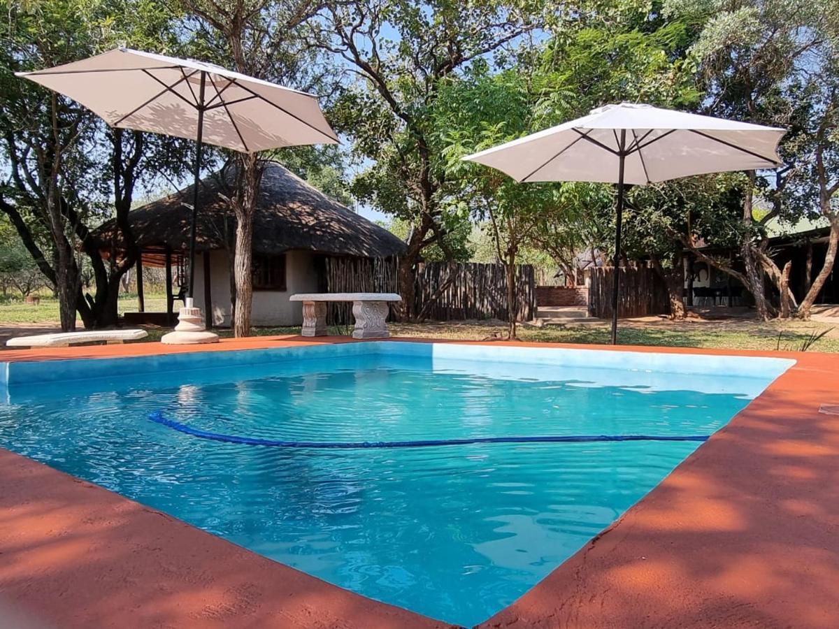 Wild Ride Safaris And Bush Camp Hoedspruit Exterior photo