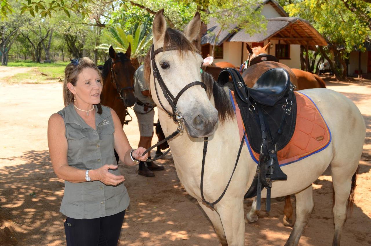 Wild Ride Safaris And Bush Camp Hoedspruit Exterior photo