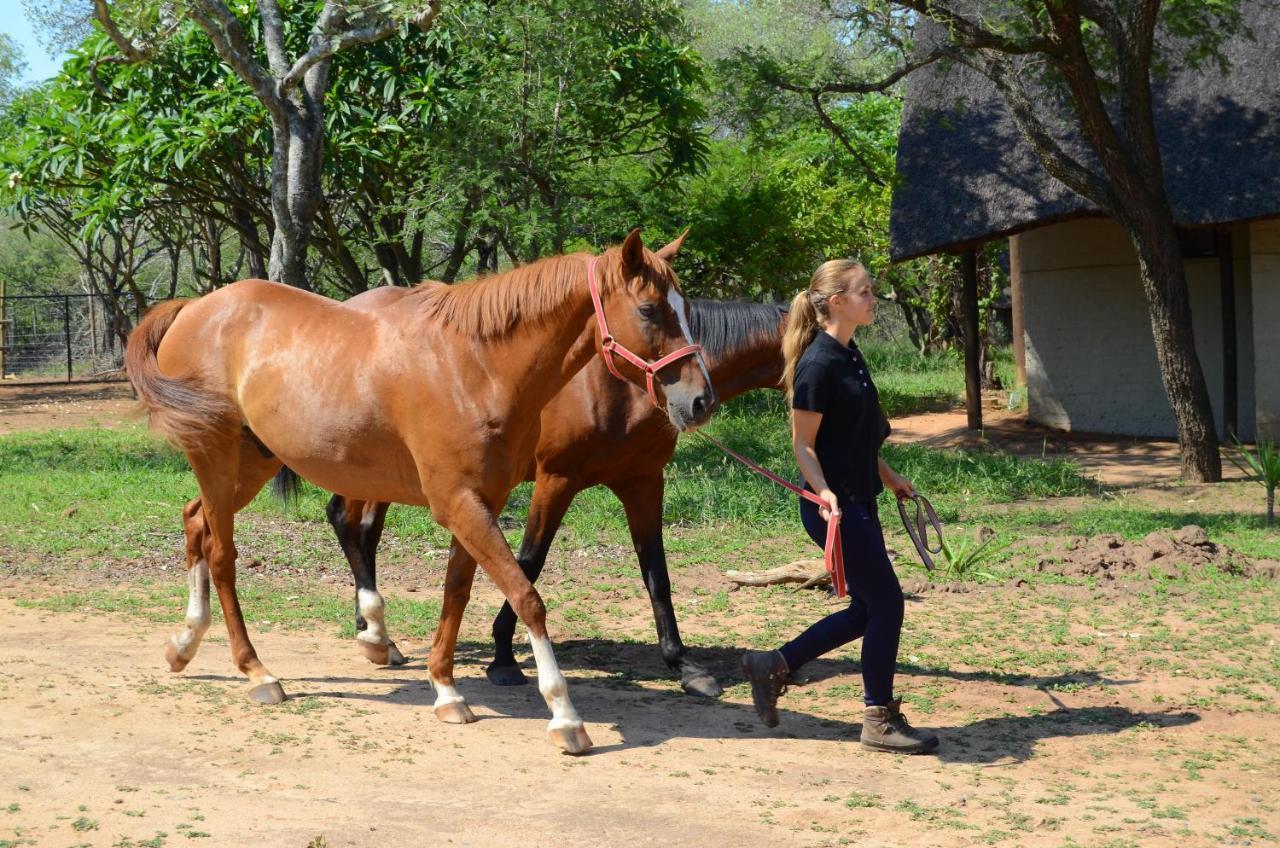Wild Ride Safaris And Bush Camp Hoedspruit Exterior photo